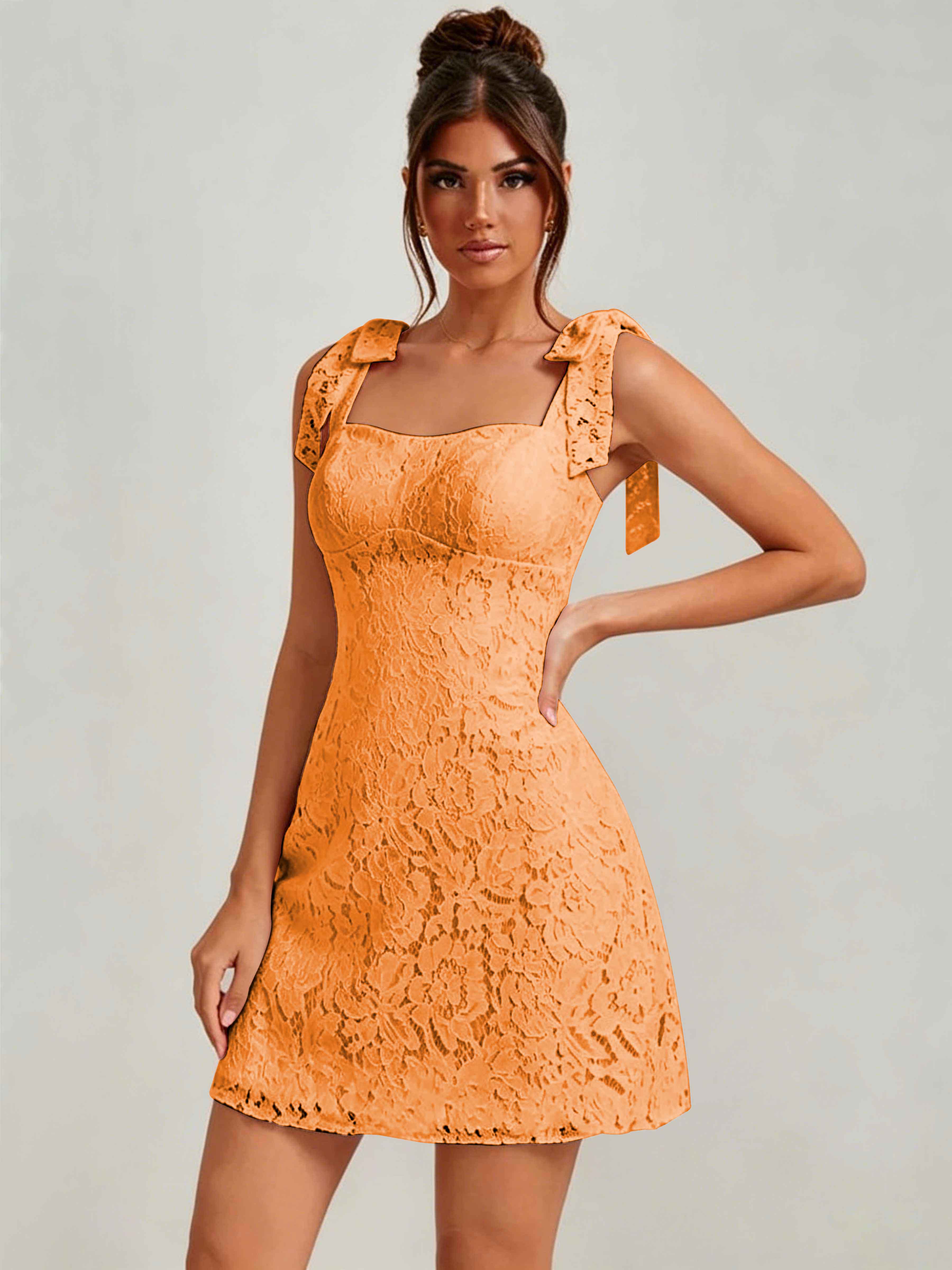 ROVDESY Bow Tie Spaghetti Strap A-Line  Floral Lace Mini Dress