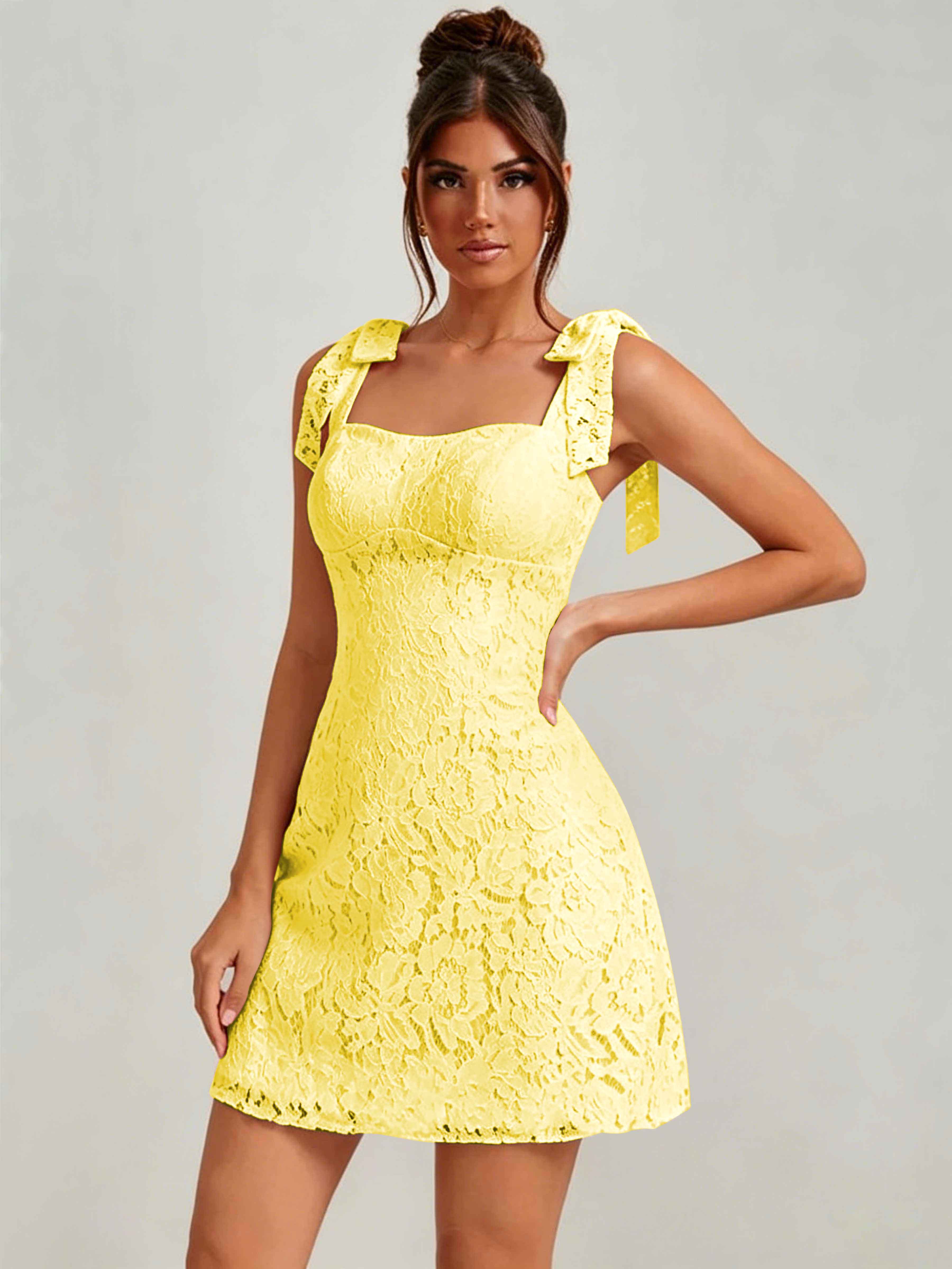 ROVDESY Bow Tie Spaghetti Strap A-Line  Floral Lace Mini Dress